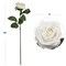Set of 48 Elegant 20" White Open Roses 4" Diameter Rose Head - Artificial Floral Decor for Weddings, Events, and Home Decoration, Floral Home by Artificial Flowers